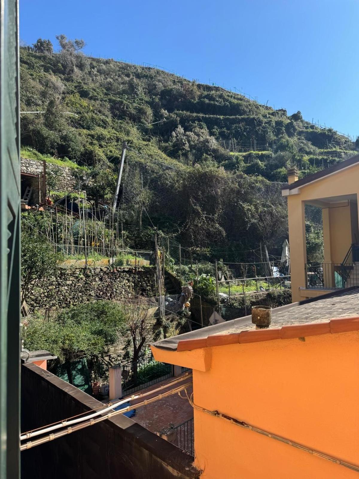 Pippo A Vernazza